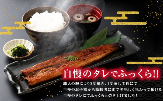 福岡県産肉厚ふっくらうなぎ蒲焼4尾入り