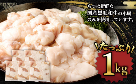 国産 牛もつ鍋 10人前 牛もつ たっぷり1,000g 冷凍ちゃんぽん 濃縮スープ付