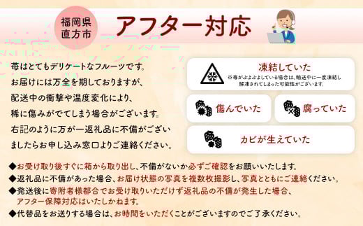特別栽培あまおう 約300g×4パック イチゴ 苺 いちご