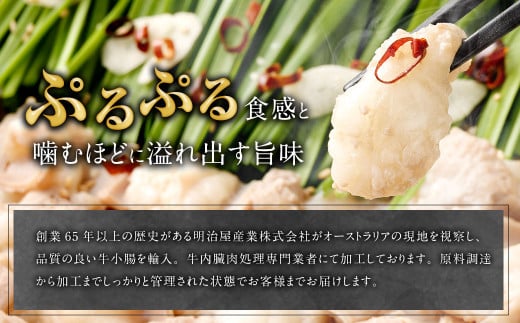 もつ鍋セット 16人前 （醤油味）牛モツ1.6kg もつ鍋 ホルモン モツ 牛モツ 醤油 しょうゆ 鍋 セット 福岡