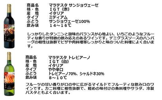 福智山ダム熟成 肉＆魚介料理6選と飲みたい赤＆白＆SPワイン 6本詰め合わせセット FD339 熟成ワイン ワイン 酒 お酒