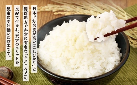 【令和7年産】 精米 食味鑑定士厳選 夢つくし 30kg（5kg×6袋） 米 こめ コメ お米 単一原料米