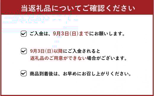 【2023年8月下旬より順次発送】豊水 梨 約10kg (16～24玉)
