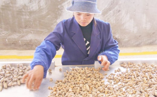 うらべの田七人参 （250mg×248粒）×3袋 約3ヶ月分