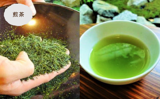 前田園 お茶 プレミアム 3種 各50g×3本 Aセット 煎茶 玉露 白折