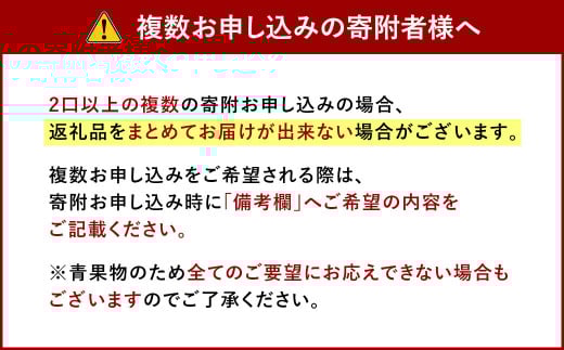 福岡県産 博多あまおう DX 上級品 約560g（約280g×2パック入り）【2025年12月上旬～2026年1月上旬発送予定】※北海道・沖縄・離島配送不可