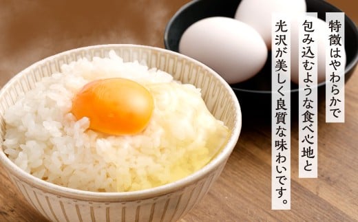 【令和7年産】 精米 食味鑑定士厳選 夢つくし 15kg（5kg×3袋） 米 こめ コメ お米 単一原料米