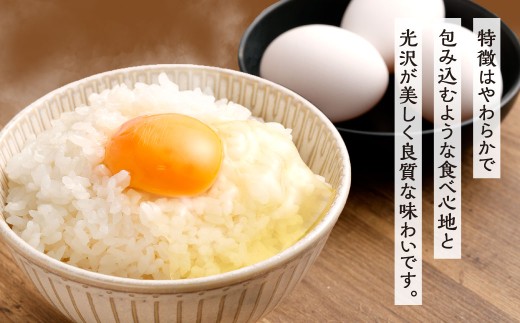 【令和7年産】 精米 食味鑑定士厳選 夢つくし 10kg（5kg×2袋） 米 こめ コメ お米 単一原料米