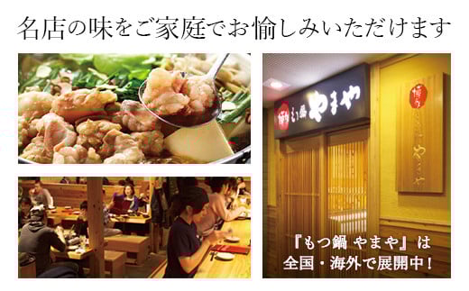 やまや 博多もつ鍋 あごだし醤油味（1～2人前） 国産 もつ モツ鍋