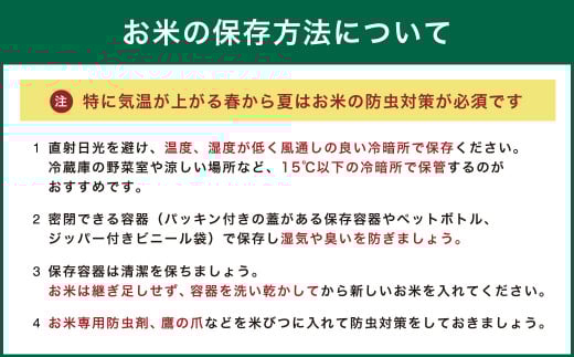 【令和7年産】福岡県産「夢つくし」 5kg×2袋 計10kg