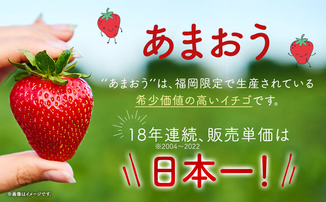 2025年 1月発送】【アフター対応】特別栽培あまおう 約300g×4パック イチゴ 苺 いちご【2025年1月上旬～3月下旬発送予定】※北海道・沖縄・離島配送不可:  直方市ANAのふるさと納税