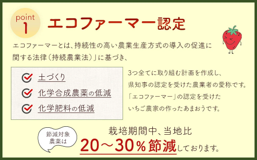 【2026年 3月発送】【アフター対応】特別栽培あまおう 約300g×4パック イチゴ 苺 いちご ※北海道・沖縄・離島配送不可