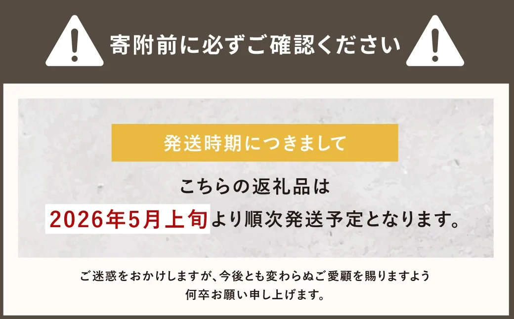 レジャーシート フォレストグリーン 大判 ファミリーサイズ（大人5～6名）【CORTDOOR】 200cm フチ自立型 ペグ穴付き クッション 厚手 大きい 折りたたみ 洗える 撥水 コンパクト 収納 ピクニックシート キャンプ用品 レジャー BBQ 福岡県 直方市