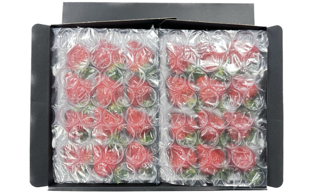 ギフト配送 福岡県産あまおう EX 約450g×2パック 合計約900g 〈特別栽培〉【2026年1月上旬～3月下旬発送予定】