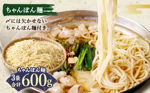 国産 牛もつ鍋 10人前 牛もつ たっぷり1,000g 冷凍ちゃんぽん 濃縮スープ付