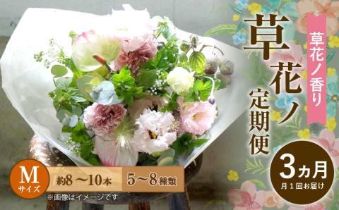 【定期便 3ヶ月】草花ノ定期便 Mサイズ 5～8種類 約8～10本