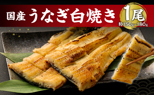 鹿児島産 うなぎ の 白焼き 1本 約150～180g 老舗130年の技