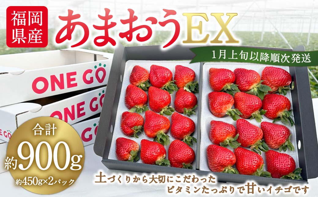 ギフト配送 福岡県産あまおう EX 約450g×2パック 合計約900g 〈特別栽培〉【2026年1月上旬～3月下旬発送予定】