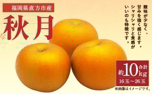 【2023年9月上旬より順次発送】秋月 梨 約10kg (16～26玉)
