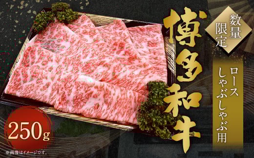 【数量限定 博多和牛】ロース しゃぶしゃぶ用 250g 牛肉 黒毛和種 和牛 しゃぶしゃぶ 焼きしゃぶ すき焼き 鍋 霜降り 肉 国産 福岡県産