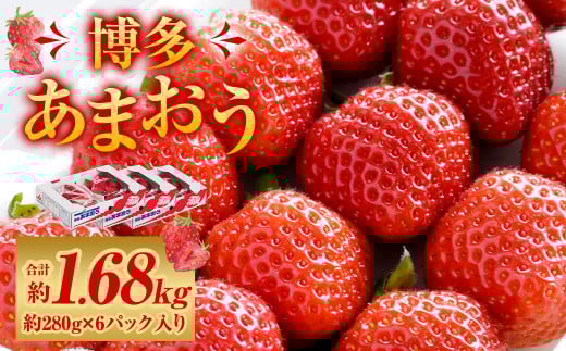 福岡県産 博多あまおう 約1.68kg （約280g×6パック入り） 【2026年1月下旬～3月下旬発送予定】 ※北海道・沖縄・離島配送不可