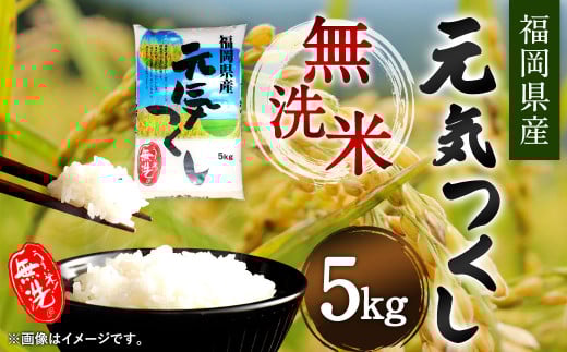 【令和6年産】福岡県産 元気つくし 無洗米 5kg お米 ご飯 米
