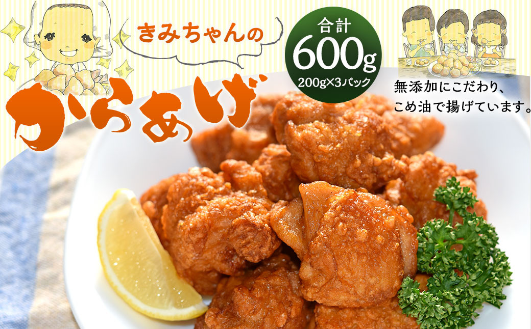 子どもが大好き！きみちゃんのから揚げ 200g×3パック 計600g