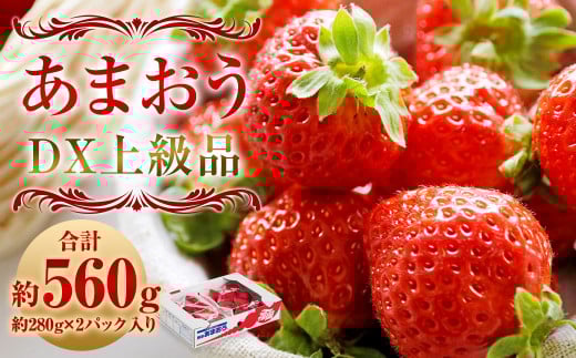 福岡県産 博多あまおう DX 上級品 約560g (約280g×2パック入り) いちご 苺