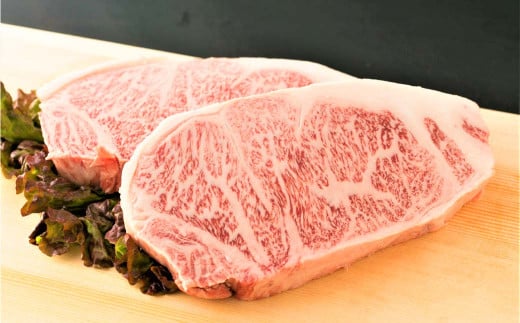 博多和牛 サーロイン ステーキ 500g(250g×2枚)牛肉