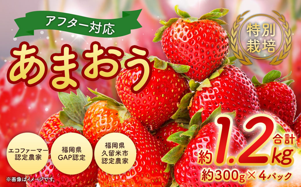 [アフター対応]特別栽培あまおう 約300g×4パック イチゴ 苺 いちご ※北海道・沖縄・離島配送不可