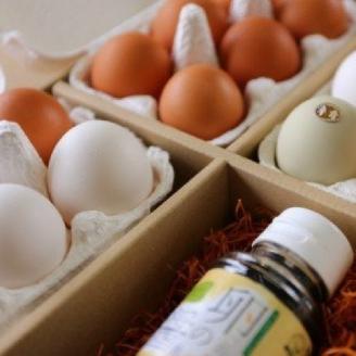 【B3-013】「畠中育雛場のたまご」卵いろいろ食べ比べセット