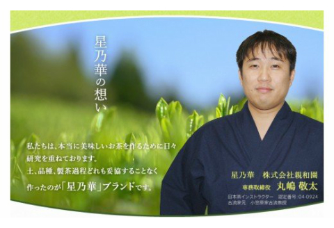 【A5-315】八女星野玉露ティーバッグ2.5g×100個