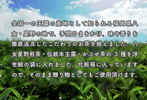 【B3-042】八女星野茶　浮世絵セット