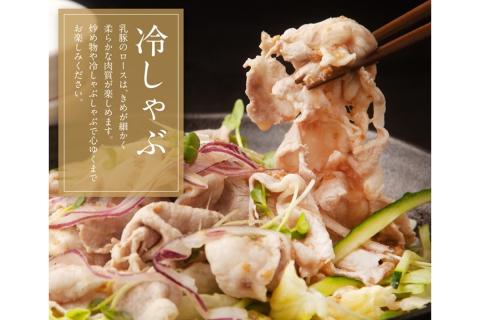 【B1-022】乳豚スライス3種セット(ロース・バラ・モモ各500g)