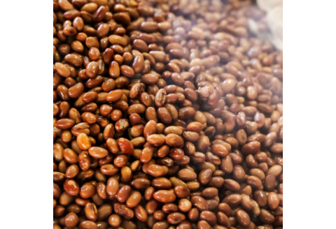 【A7-029】天然醸造醤油　生揚げ醤油とぽん酢醤油セット