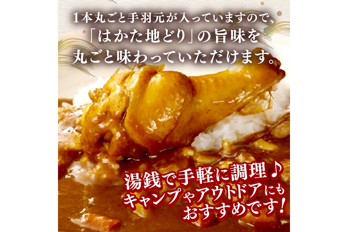 【A-861】はかた地どり 手羽元カレー