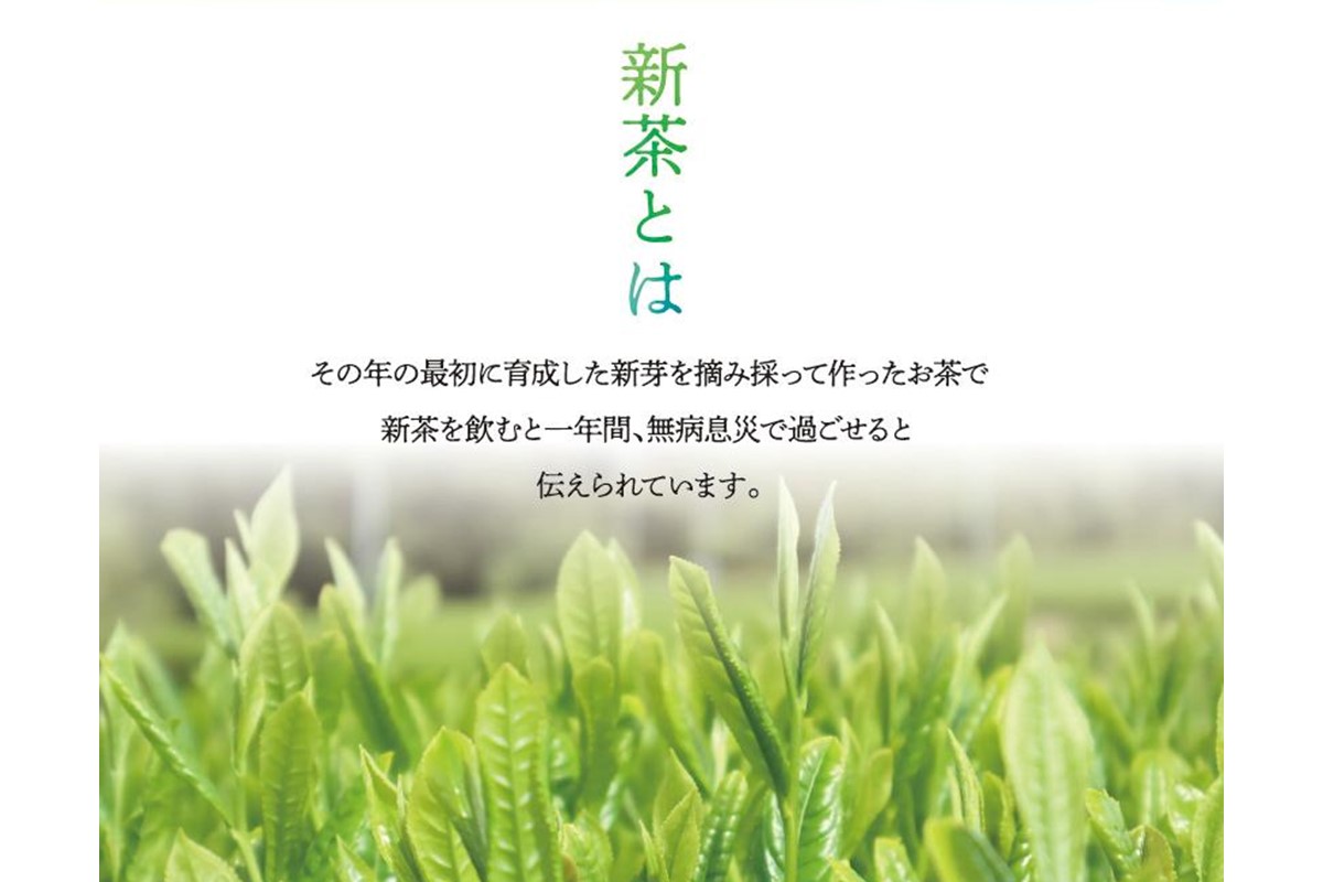 【A2-132】新茶 八女星野茶 100g 3本詰め＜先行予約＞