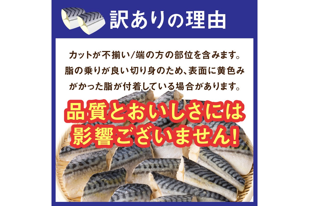 【A2-152】【訳あり】骨取り 塩さば切り身(600gx2袋)