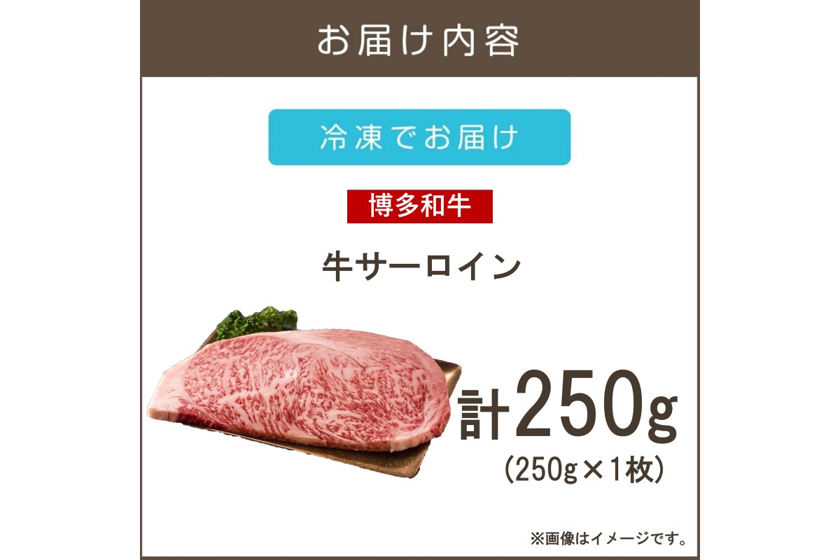 【A3-081】【A4-A5ランク】博多和牛サーロインステーキ 250g