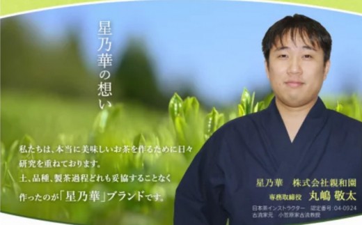 【A5-270】八女星野茶 星乃秋桜 煎茶100g×1 かぶせ茶100g×1