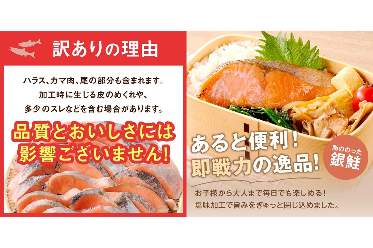 【A5-482】【訳あり】塩銀鮭切り身 甘塩仕立て(1.6kg)
