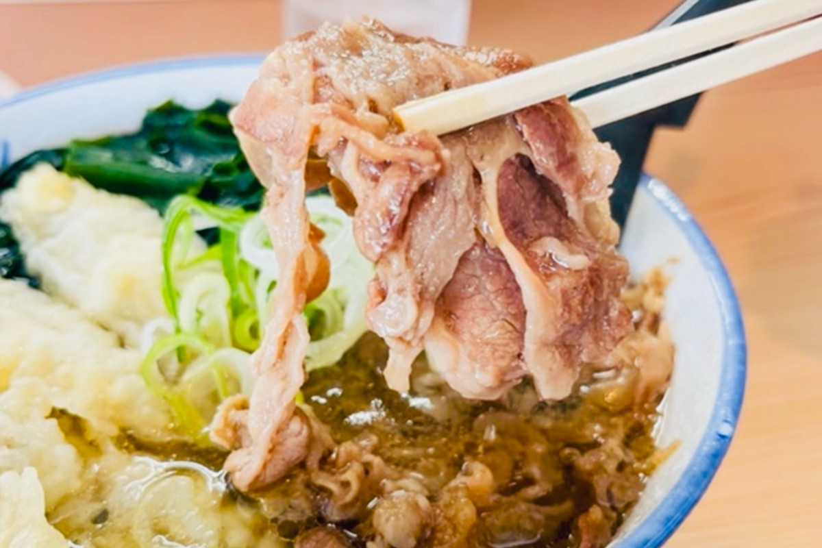 【A6-037】牛丼、肉うどんの具 5袋