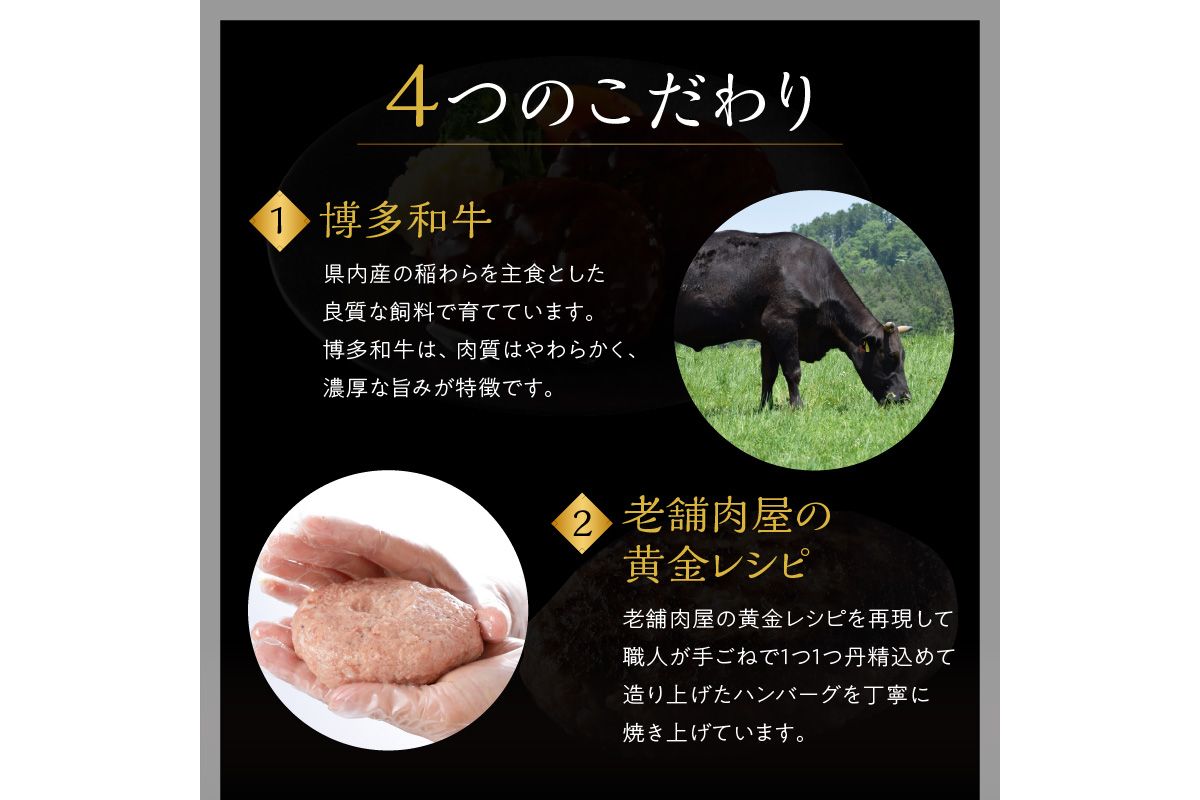 【A4-047】【レンジ対応！】博多和牛熟成ハンバーグ／特製デミソース (10個入り)