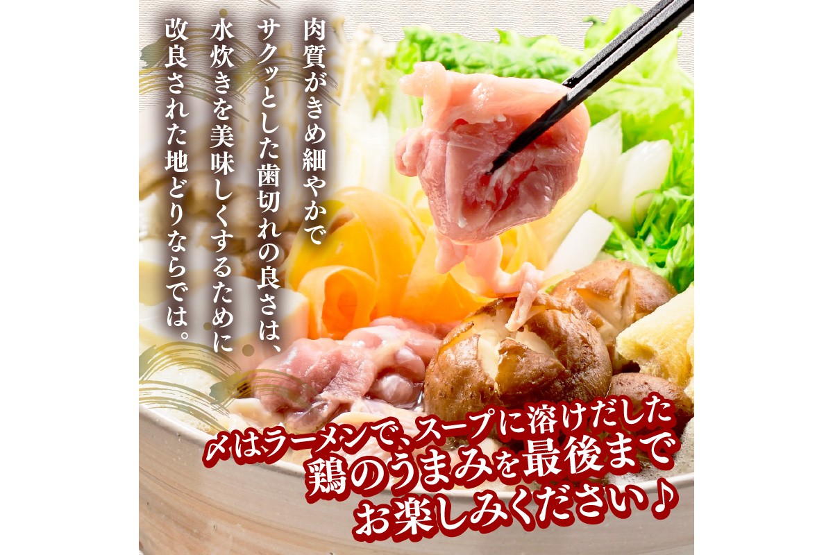 【A8-076】はかた地どり 水炊きセット(2～3人)