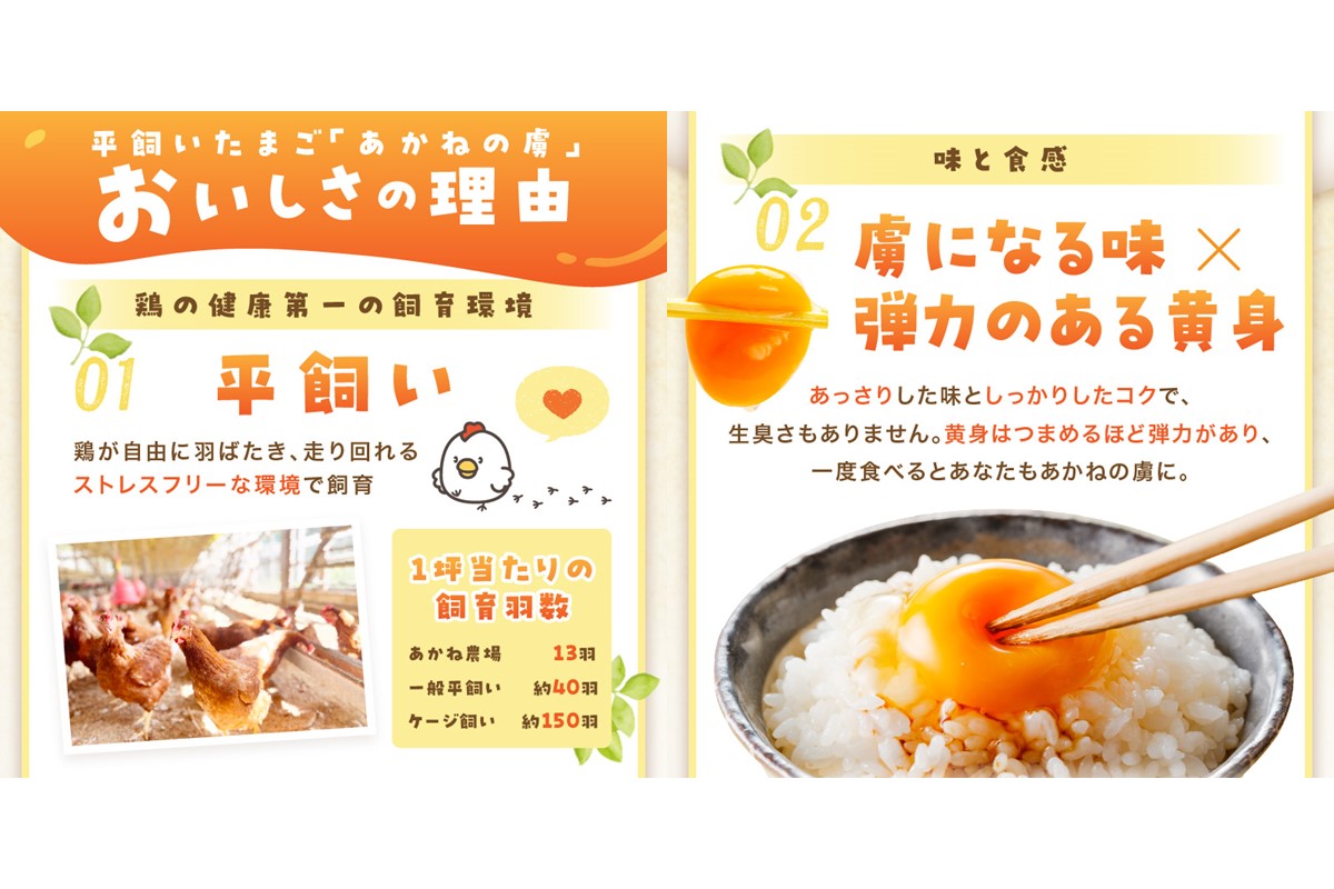 【B-182】〈平飼い卵〉あかねの虜（40個）