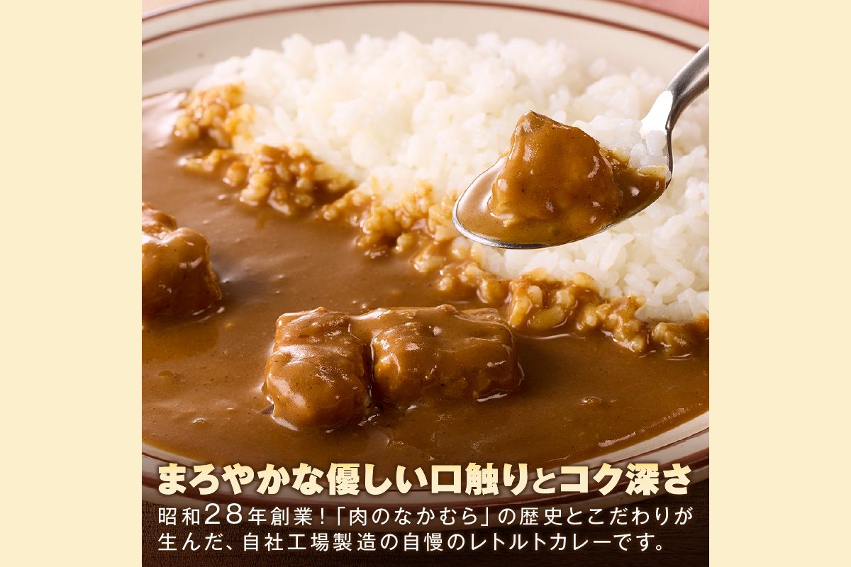 【B-192】「特製肉屋のカレー」ポークカレー10食セット