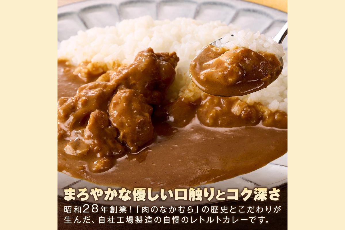 【B-193】「特製肉屋のカレー」骨付きチキンカレー10食セット
