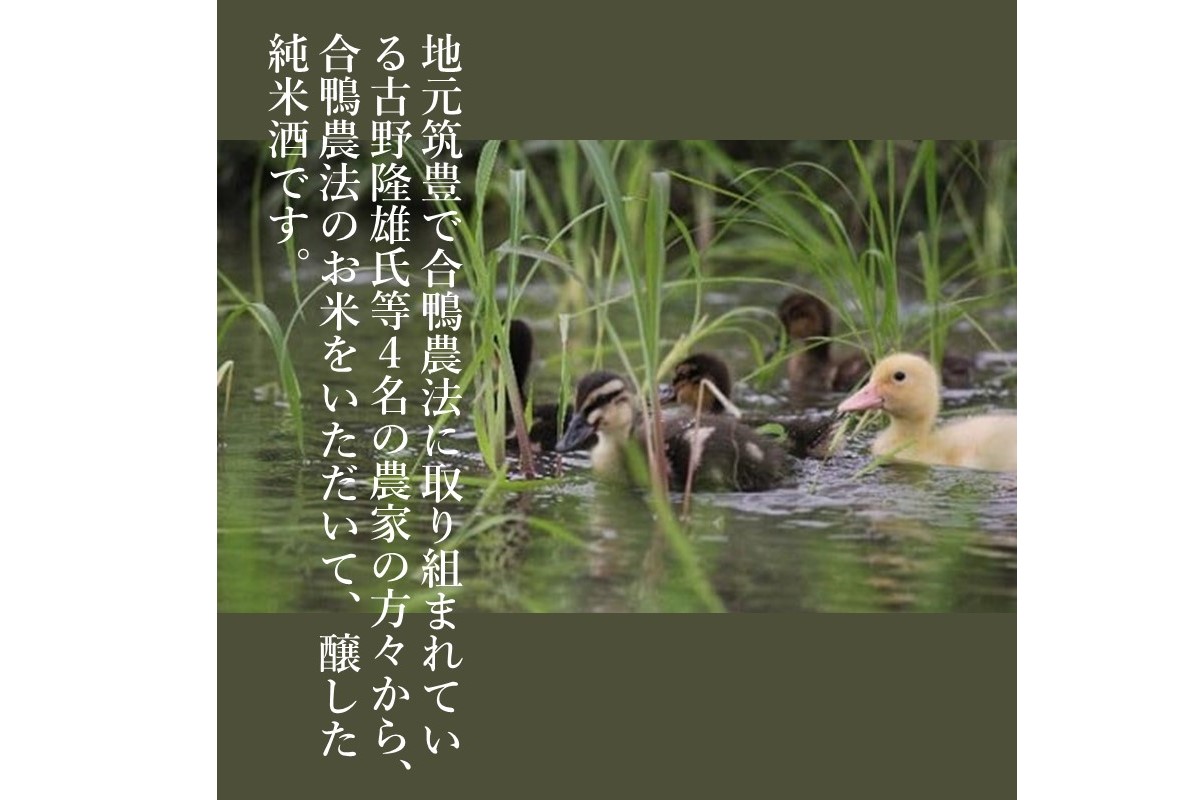 【B3-015】【創業150年】瑞穂菊酒造 純米酒セット 720ｍl×2本