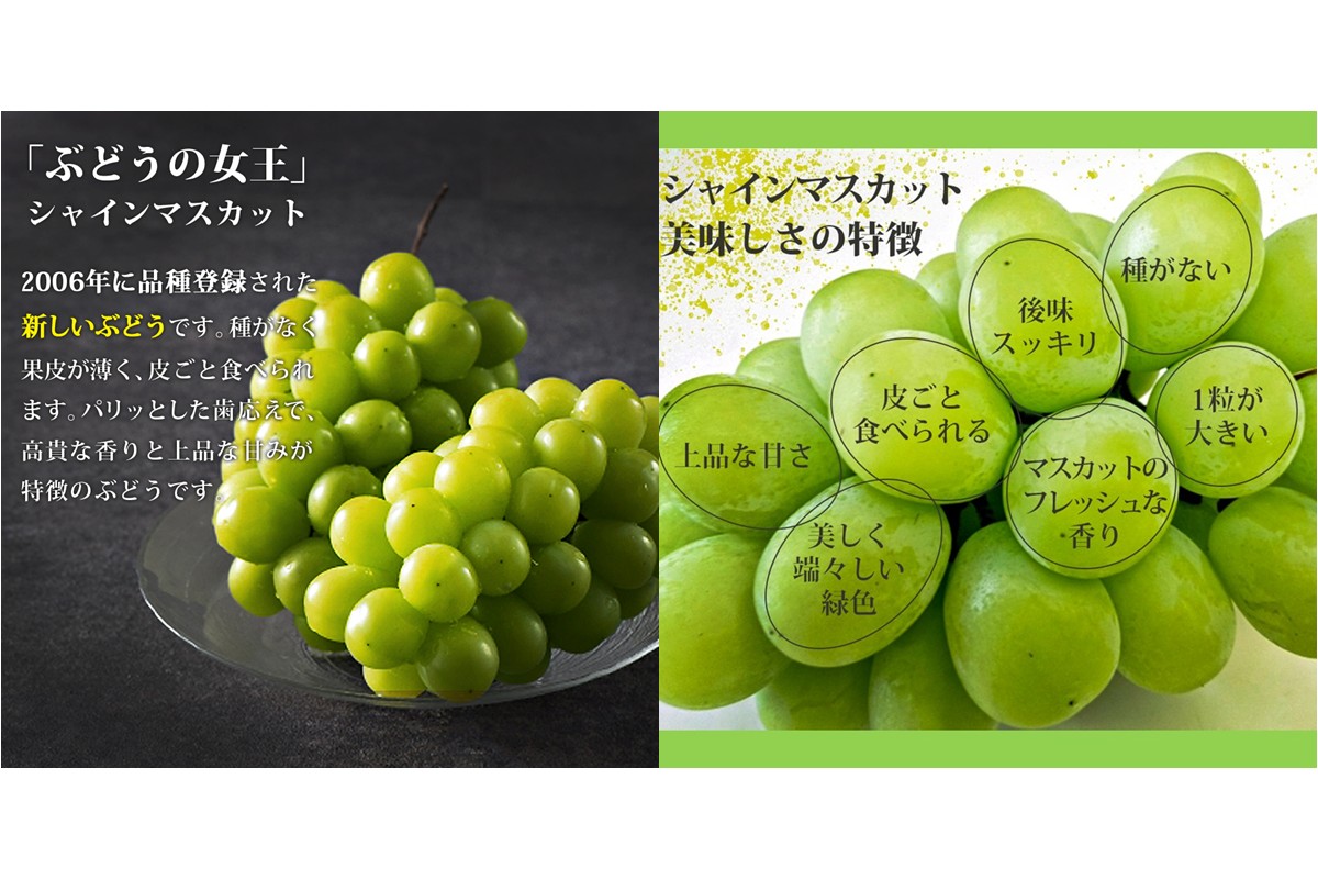 【B6-028】シャインマスカット4-6房(約2kg)＜2026年8月中旬から発送開始分先行予約＞