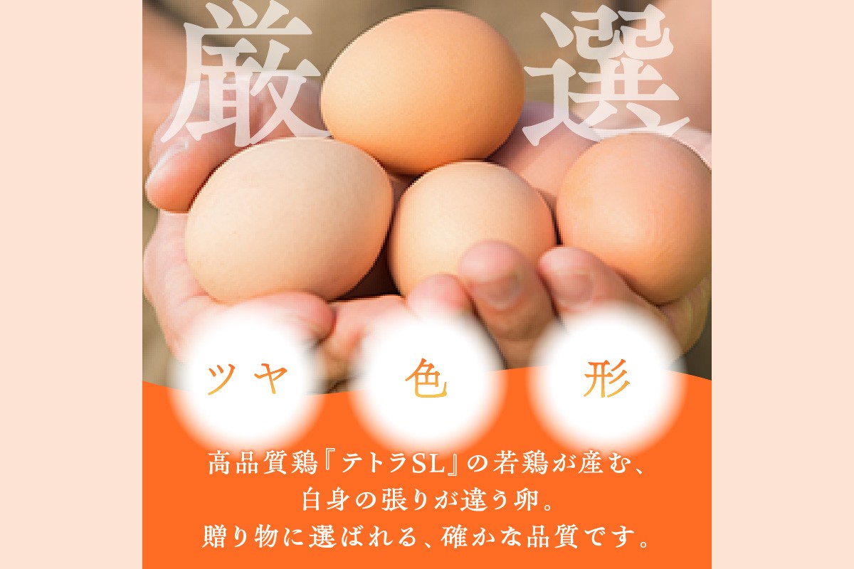 【B9-009】テトラエッグ特選卵『バボルナの宝石』（30個/月）【3カ月定期便】